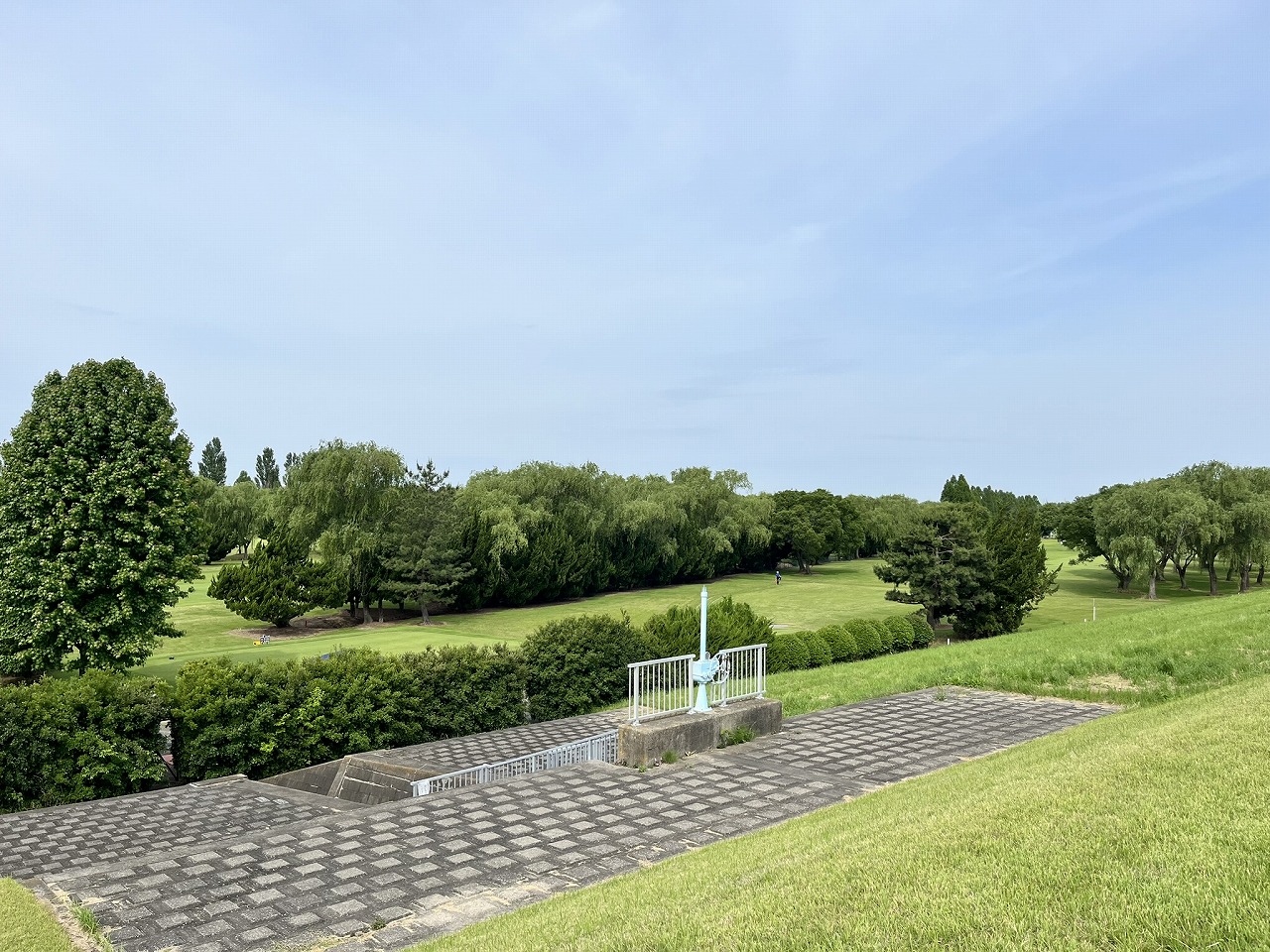 2025年度関東高等学校ゴルフ選手権夏季大会東京都予選
